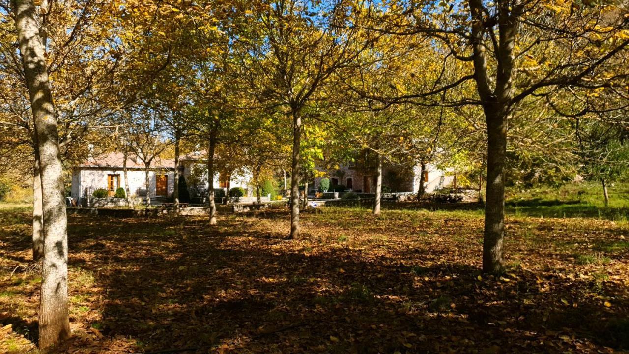 Andrea Sofi Guesthouse Dimitsana Exteriör bild