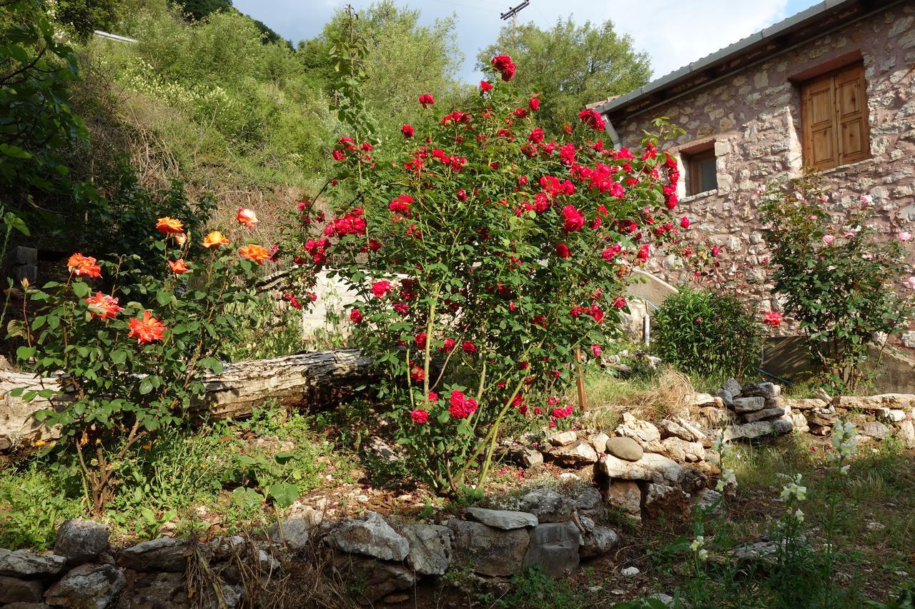 Andrea Sofi Guesthouse Dimitsana Exteriör bild