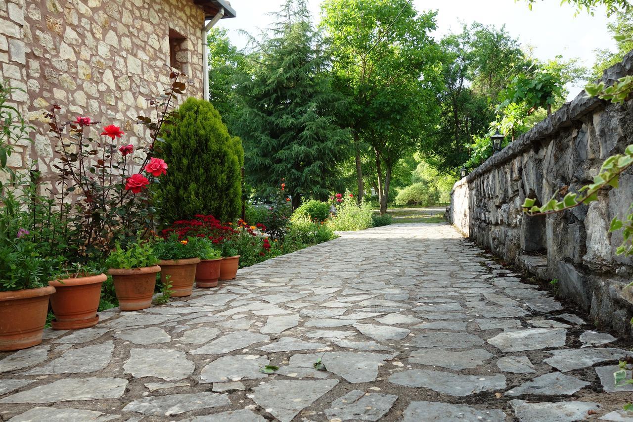 Andrea Sofi Guesthouse Dimitsana Exteriör bild